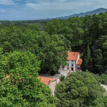 Domaine Castell De Bles Bed & Breakfast Saint-Genis-des-Fontaines Ngoại thất bức ảnh