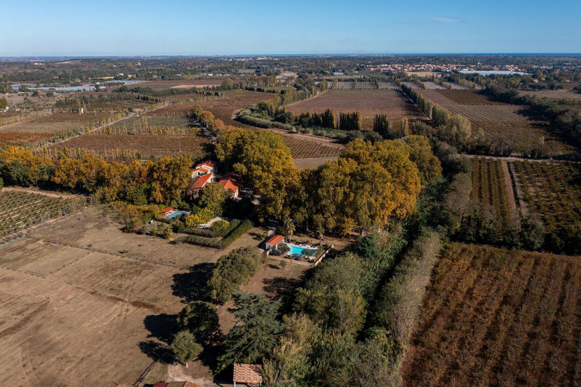 Domaine Castell De Bles Bed & Breakfast Saint-Genis-des-Fontaines Ngoại thất bức ảnh